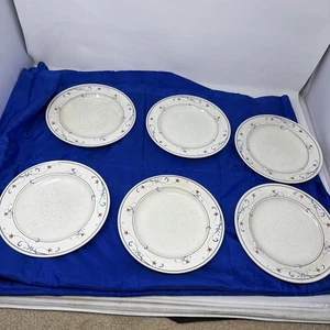 Juego de 6 platos de ensalada MIKASA Intaglio CAC20 Annette 8 1/4" - RAYING - Imagen 1 de 24