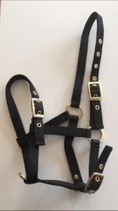 Foal Headcollar, Nylon, Standard Size, BLACK, FREE UK Postage - Picture 1 of 1