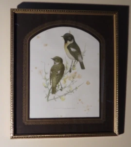 Marjorie Blamey Wildlife Print; Birds - Picture 1 of 2