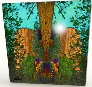 Impresionante impresión en metal YOSEMITE NATL PARK/EL CAPITAN - LOREE HARWELL enmarcada y firmada - Imagen 1 de 8