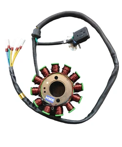 Alternador de encendido CB 250ccm 12 bobinas 29 mm China ATV Quad Dirtbike HMParts - Imagen 1 de 3