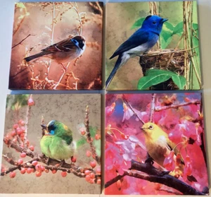 (Set of 4) Yearainn ART 12 x 12 Wall Art Canvas of Colorful Wild Birds in Nature - Picture 1 of 7