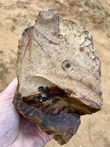 3,38 Pfund Biggs Bild Jaspis Lapidar grob aus Biggs, Oregon - Bild 1 von 6