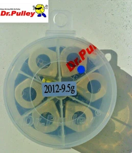 Yamaha Vity 125 Dr Pulley sliding rolls set / SR2012-6 9,5g / Direct JAPAN! - Picture 1 of 1