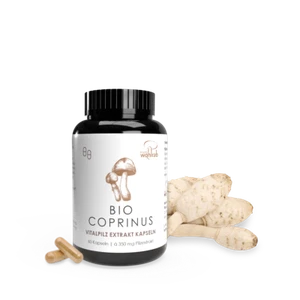 Pilze Wohlrab | Coprinus BIO Extraktkapseln, 60 Stück | Schopftintling Vitalpilz - Bild 1 von 8