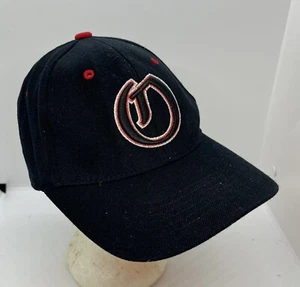 Ohio State Buckeyes Top Of The World One Fit One size Fits Most - Picture 1 of 8