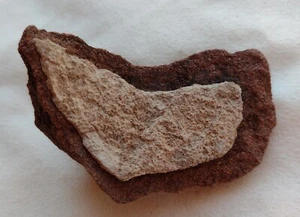 Heart Stone Natural Shaped Rock Zen Table Home Décor Love Gift Garden Collectors - Picture 1 of 5