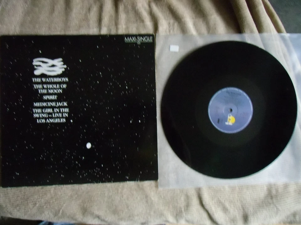 Maxi The Waterboys – The Whole Of The Moon - Bild 1 von 1