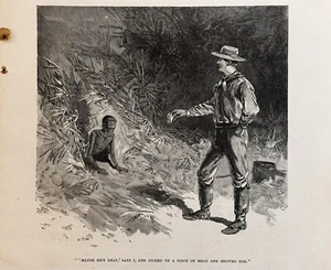 1892 Maybe He’s Deaf, Says I, And Picked Up A Piece... Impresión litográfica original - Imagen 1 de 1
