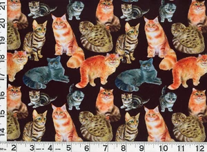 Black Brown Orange Cats & Kittens Quilting Sewing Fabric by Yard  #894  DP - Picture 1 of 1