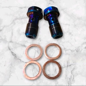 Real Titanium Banjo Bolt Pair Burnt Blue M10x1.00 Brembo Brakes 13grams Harley - Foto 1 di 7