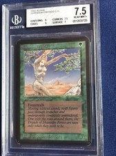1993 MTG Alpha Shanodin Dryads C G 9,9 BGS 7.5 NM+ Original 1993 Limited Edition