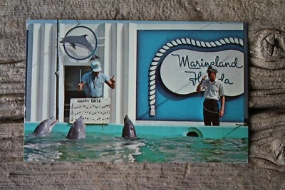 Postal de colección de marineland Florida marsopas cantando feliz aturdimiento Foto 1 de 2