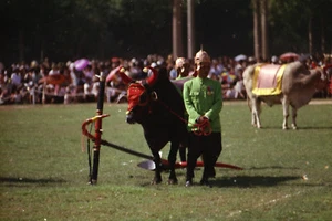 CAMBODGE 1965 - Fête Sillon Sacré Sihanouk et Princesse 6 Négatifs 24x36 - 5094 - Picture 1 of 6