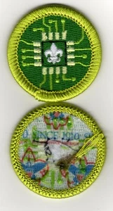Digital Technology Merit Badge, Type L, "Since 1910" Back (2012-Current), Mint! - Picture 1 of 1