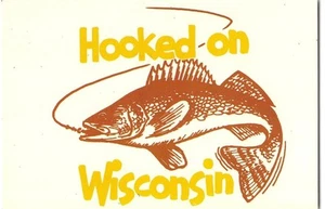 Postal vintage de saludos de pesca "ENGANCHADO EN WISCONSIN" Walleye Pike años 70 - Imagen 1 de 2