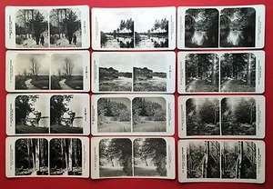 12 alte Stereo Foto um 1905 Bilder aus Deutschen Waldungen Wald Typen ( F14810 - Bild 1 von 2