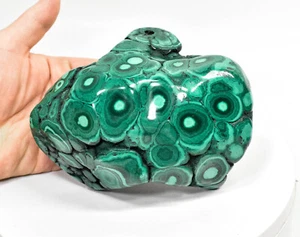 5.47" POLISHED BULLSEYE MALACHITE - Congo B124 - Picture 1 of 8