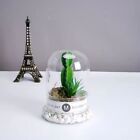 Dust-proof Cylindrical Plant Vase Transparent Glass Cover  Bedroom