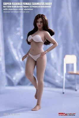 1/12 比例 TBLeague 无痕丰满女式 6 英寸人偶带头 Phicen SUNTAN T04B — 第 1/4 张图片