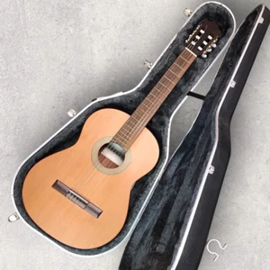 Classical Full Size Acoustic Guitar with Hard Case & “Solo Now!” Book - Picture 1 of 9