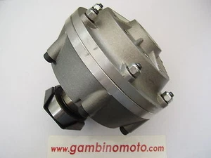FRIZIONE MOTOZAPPA BCS 715-735-725 MC/MF BENASSI MTZ-RL300 BERTOLINI MTC-307 - Photo 1 sur 3
