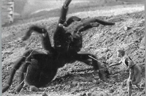 Grant Williams faces Certain Death - The Incredible Shrinking Man Re-Print #SFB - Picture 1 of 1