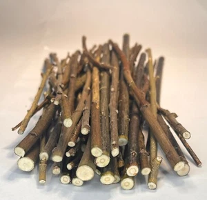 Natural Willow Chew Sticks for Small Animals – Perfect for Rabbits, Guinea Pigs - Picture 1 of 3