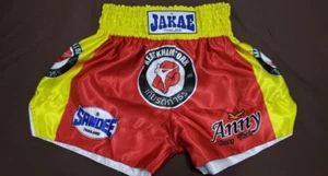muay thai shorts, sandee, unisex, size L - Picture 1 of 2