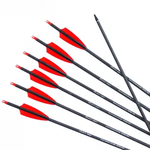 Pure Carbon Arrows 28/30/31 Inch Spine 400 Hunting Removable Tips Recurve Bow - Picture 1 of 11