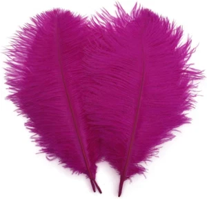 Fuchsia 10-12inch 25-30cm Ostrich Feather Home Decoration DIY Craft Pack of 10 - Picture 1 of 12
