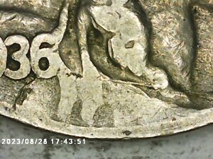 1936 P Buffalo Nickel G-VG - Retained Lamination (Obverse)