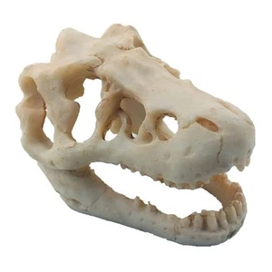 Resin Dinosaur Skull Aquarium Ornament Mini Tank Decoration Beige - Picture 1 of 7