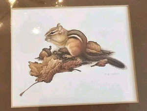 Eastern Chipmunk Martin Glen Loates Matted Color Print 8 X 10 Sealed NEW - Picture 1 of 5