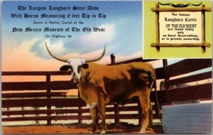 C1950s Moriarty, Nuevo México Postal RUTA 66 Roadside LONGHORN RANCH / Steer - Imagen 1 de 2