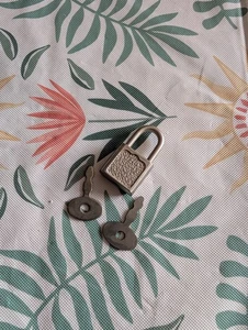 Candado pequeño vintage plateado con llave con dos llaves para diario de equipaje etc. - Imagen 1 de 3
