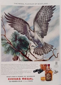 1960's Chivas Regal Whisky. Vintage, original magazine advertisement. - Picture 1 of 1