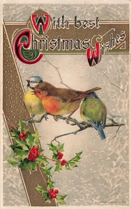 VINTAGE WINSCH CHRISTMAS POSTCARD SONGBIRDS ON HOLLY BRANCH c1910 052625 U - Imagen 1 de 2