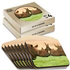 8 x Boxed Square Coasters - Rhinoceros Couple Wild Rhino  #15578