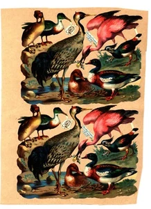 DUCKS and CRANES, birds, paper scraps, die cut Tuck Giant Relief, circa 1889 - Picture 1 of 2