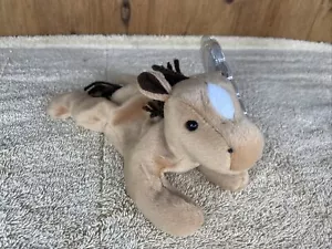TY Beanie Babies "Derby" - (Raro, Ottime Condizioni, P.V.C Pellets, 1995) - Foto 1 di 6