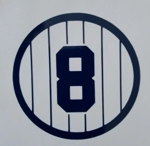 Calcomanía de vinilo 1948 Yogi Berra novato de radiocontrol #6 de los Yankees de Nueva York ¡pegatina! - Imagen 1 de 6