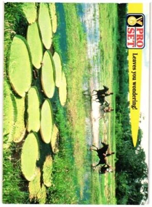 1992 Pro Set Guinness Book of Records #79 Leaves you wondering! - Imagen 1 de 2