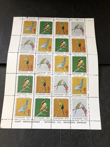 Suriname Stamp Christmas Seal Sheet of Bird Stamps from 1967 Cover