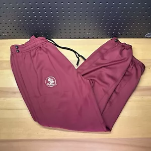 Nike Florida State Seminoles FSU Team Tearaway Warm Up Pants Men’s Size Large - Picture 1 of 11