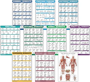10 Pack Exercise Workout Posters: Dumbbell, Kettlebell, Resistance Bands & More - Picture 1 of 12