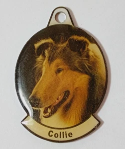 Metal Dog Breed Photo Tag. "Collie" For Dog Collar or Key Chain. - Picture 1 of 2