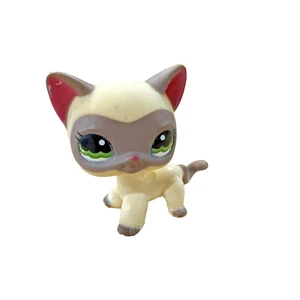 Littlest Pet Shop #1116 Cream Siamese Masked Short hair Cat LPS green eyest - Foto 1 di 2