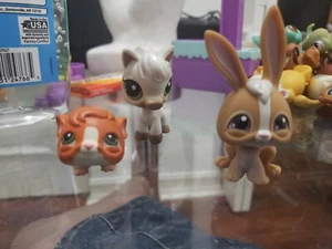 Littlest pet shop lot hamster/pony/bunny - Picture 1 of 17