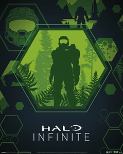 Poster HALO INFINITE - Master Chief Hex (Game) 40x50cm NEU z547 - Bild 1 von 1